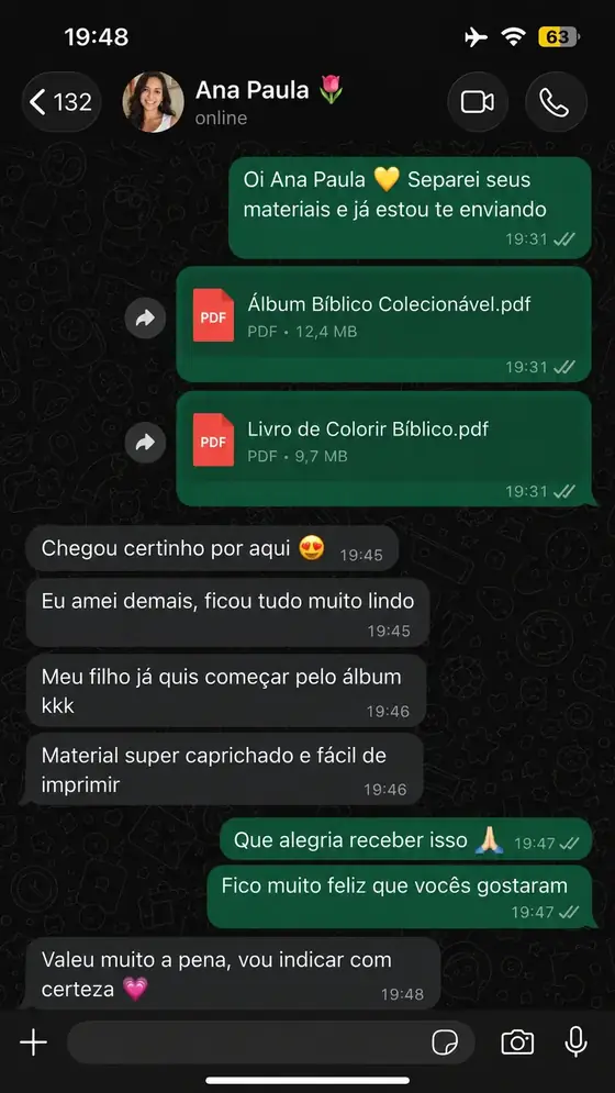 Depoimento de Ana Paula no WhatsApp